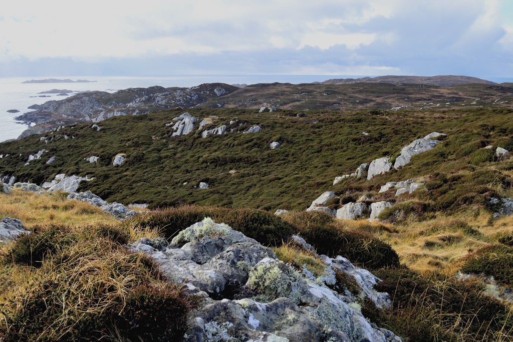 Understand and learn how the landscape of Iona formed over millennia as we expose the south of the island 