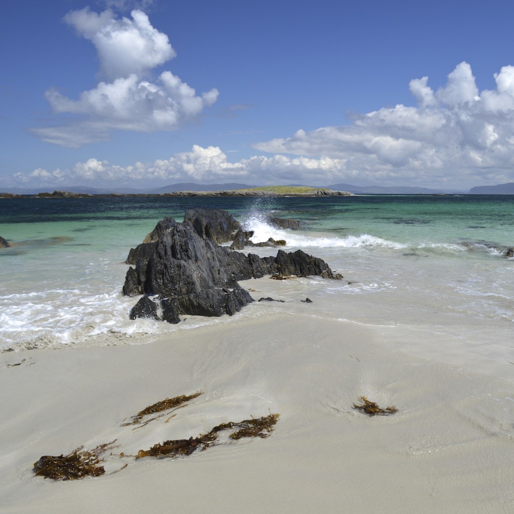 Let us help you appreciate why Iona is so well known for its vivid colours.
